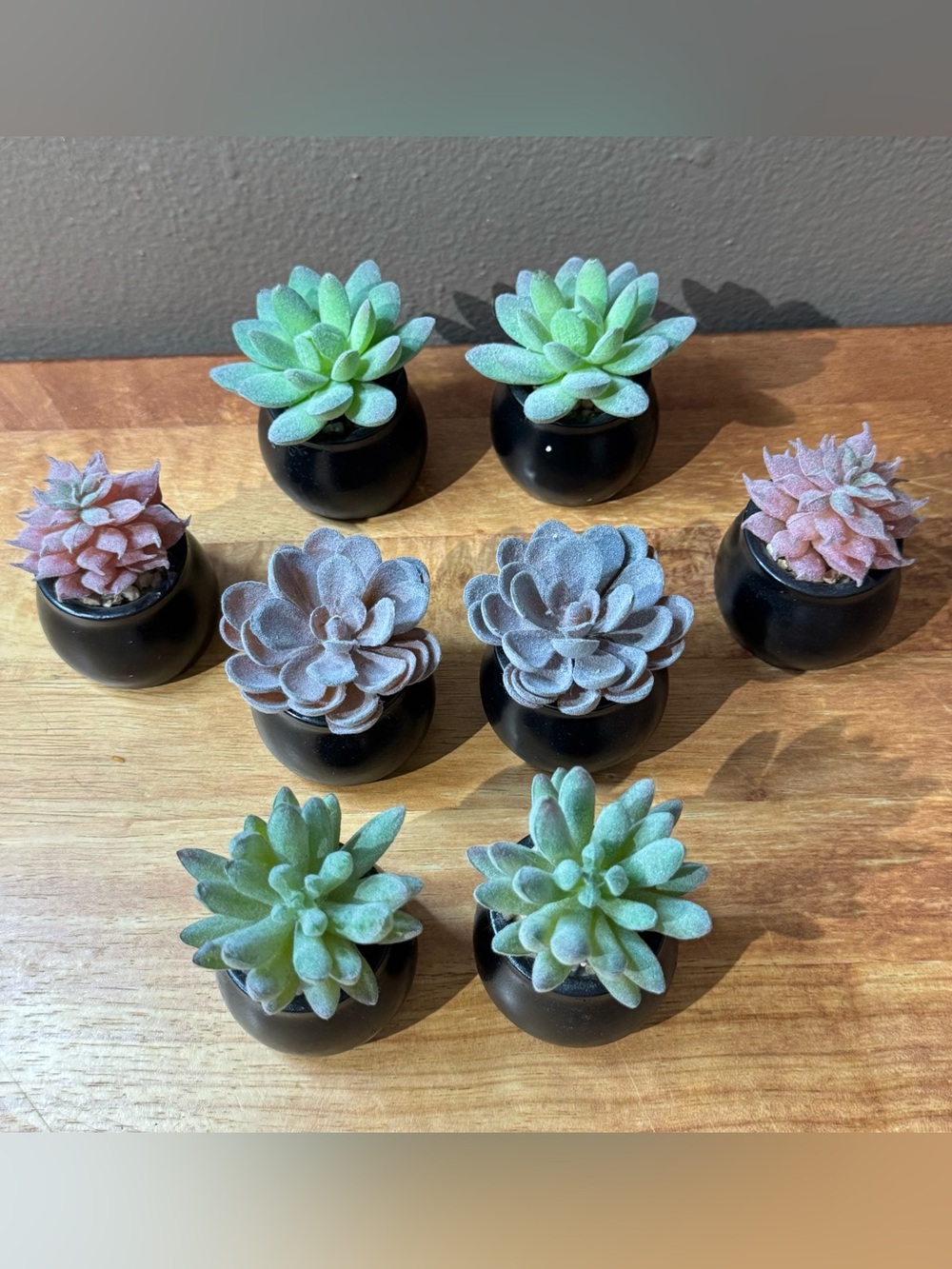 Mini Faux Succulents in Black Planters, Home/Desk Decor (Set of 8)